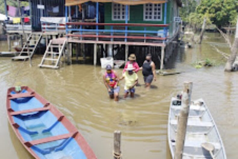 Sepror-AM anuncia início das inscrições do Garantia Safra 2022-2023 na Calha do Juruá