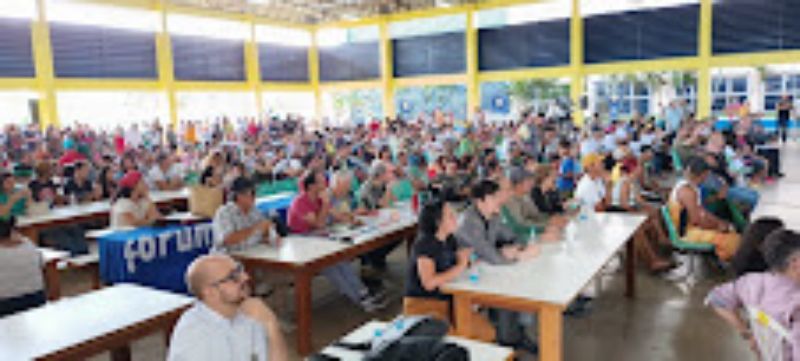 Governo do Amazonas apoia estudo sobre a variedade genética da copaíba