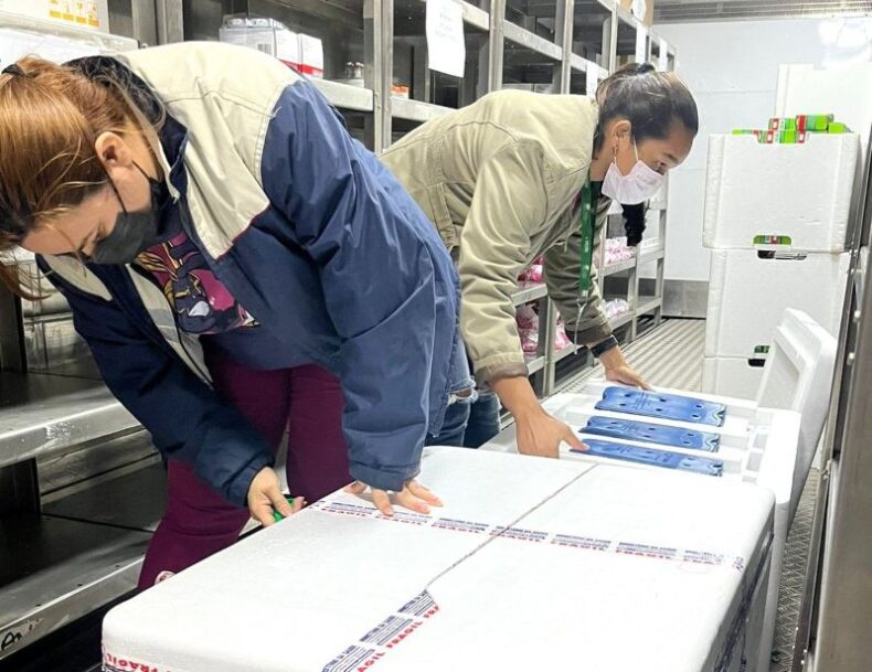 Amazonas recebe mais 20 mil doses da vacina Astrazeneca nesta quinta-feira(26)