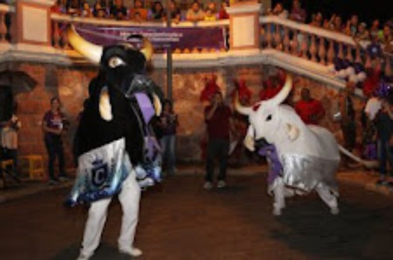 Fundação Alfredo da Matta anuncia mutirão no 28.01 para identificar hanseníase