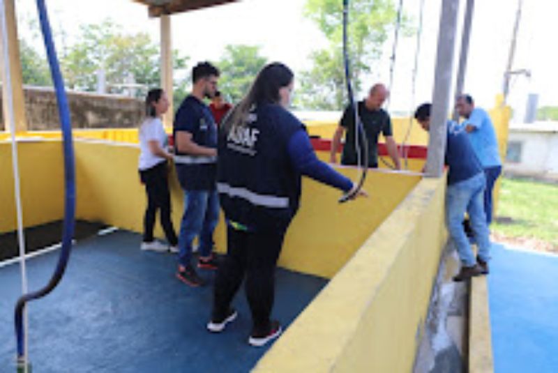 Adaf certifica abatedouro de suínos e operação inicia em março