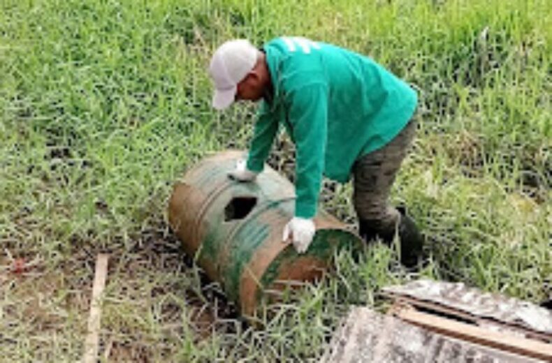 Dengue: Informe epidemiológico divulga cenário atualizado da doença no Amazonas, na quinta-feira(23)