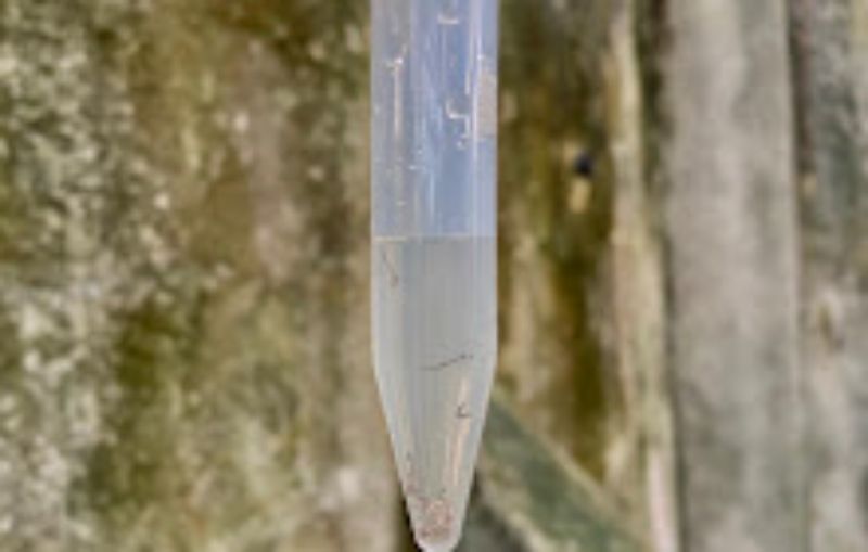 Saúde-AM atualiza cenário epidemiológico de dengue em informe nesta quinta-feira (09/02)