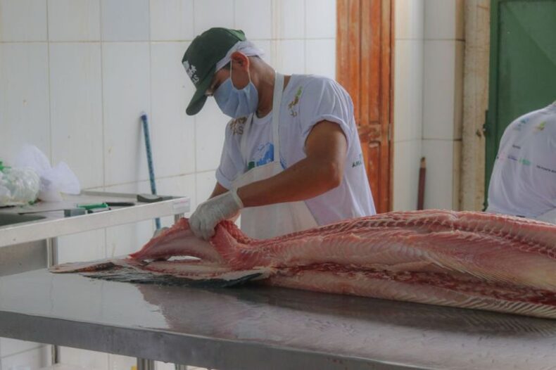 Três toneladas de pescado estarão à venda na 1ª Feira do Pirarucu de 2023 da FAS, no sábado (04)