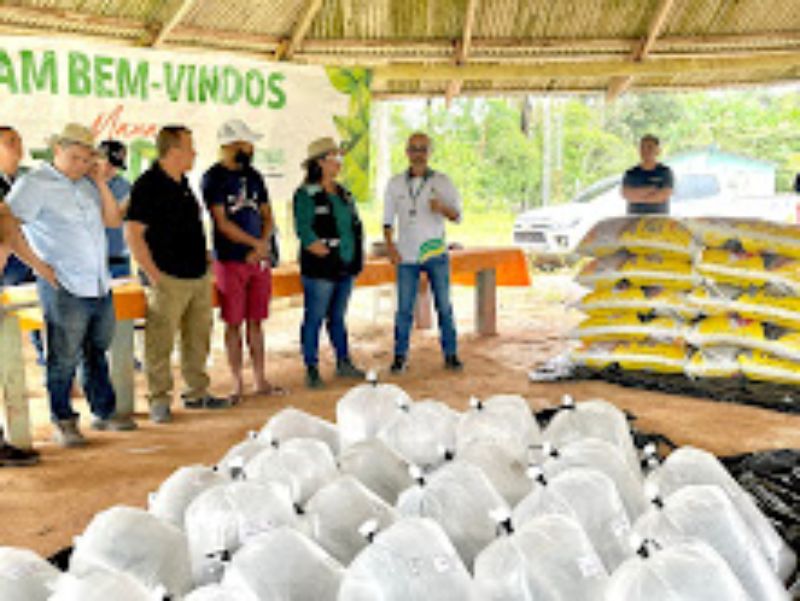 Secretaria de Produção do AM, entrega 31 mil alevinos de tambaqui, em área rural de Manaus