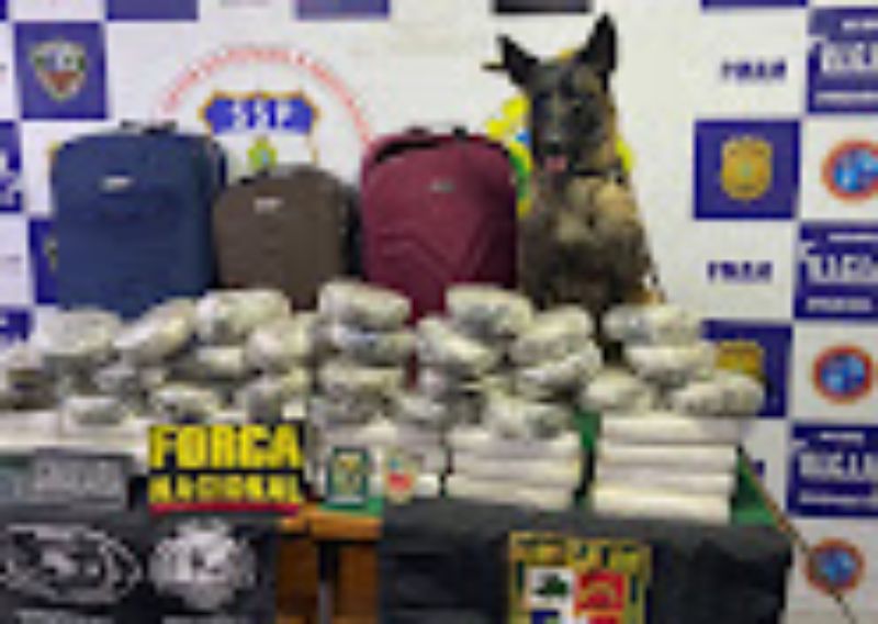 Polícia Militar do Amazonas apreende mais de 50 quilos de entorpecentes, em Coari