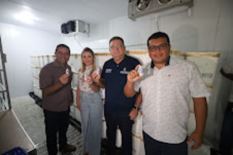 Amazonas recebe vacinas para Campanha contra Febre Aftosa(PNEF