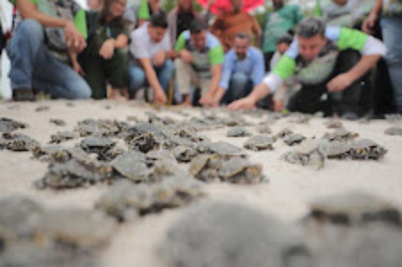 Amazonas captou mais de R$ 75 milhões para projetos ambientais nos primeiros 100 dias de 2023