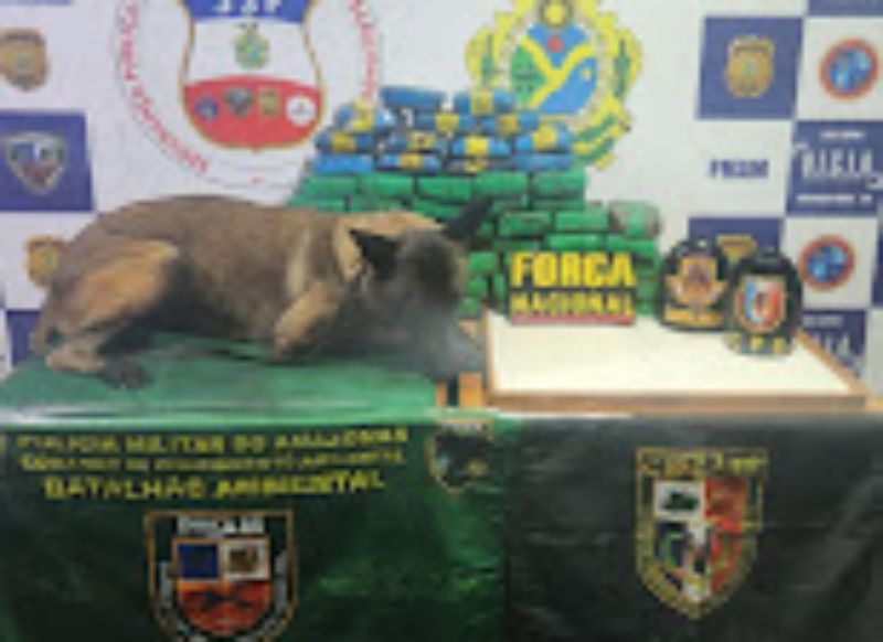 Agentes da Base Arpão apreendem 67 quilos de entorpecentes durante abordagem à embarcação