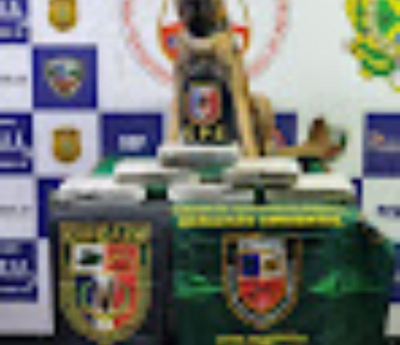 Agentes da Base Arpão apreendem 06 kg de skunk durante abordagem a uma embarcação em Coari-AM