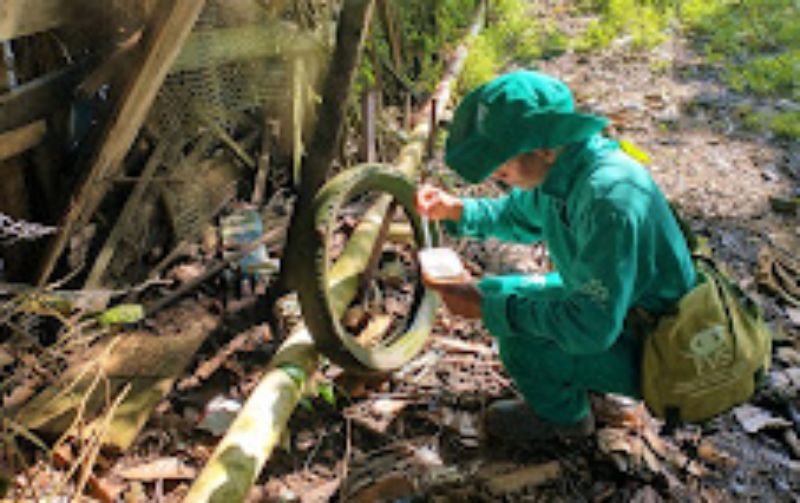 Em informe epidemiológico, Amazonas atualiza o cenário de dengue nesta quinta-feira(06)