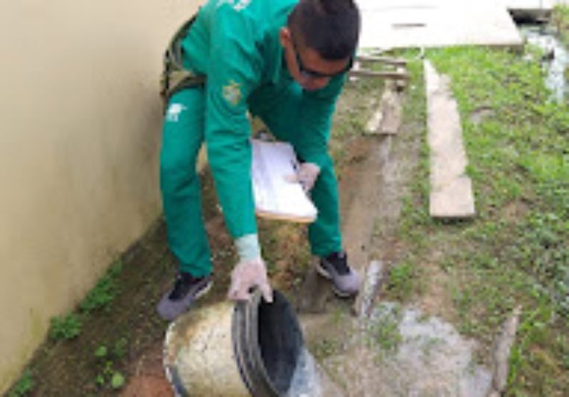 Amazonas atualiza o cenário da dengue nesta quinta-feira(18)