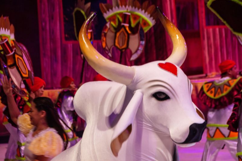 Garantido ameaça não disputar Festival 2023 por questão financeira