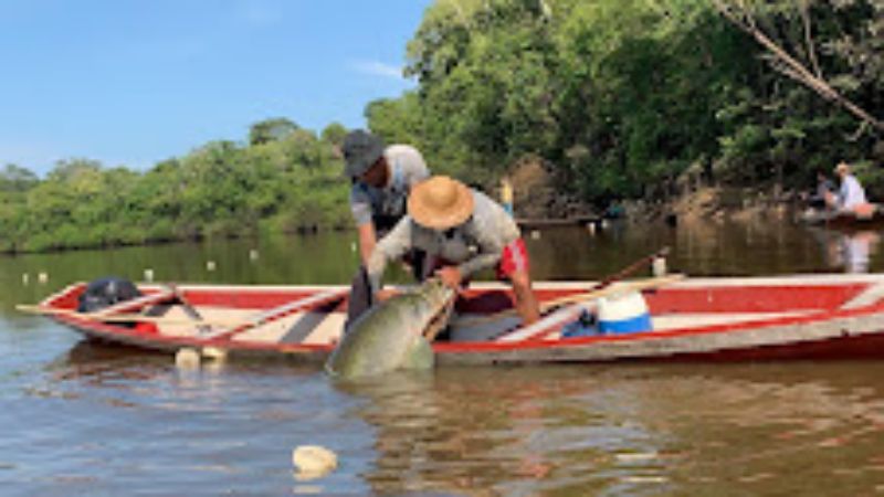 No Dia Internacional da Luta Contra a Pesca Ilegal, ADS destaca programas do setor pesqueiro