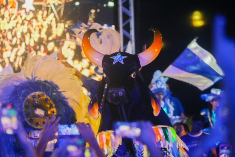 caprichoso_03_bumbodromo_lotado-020