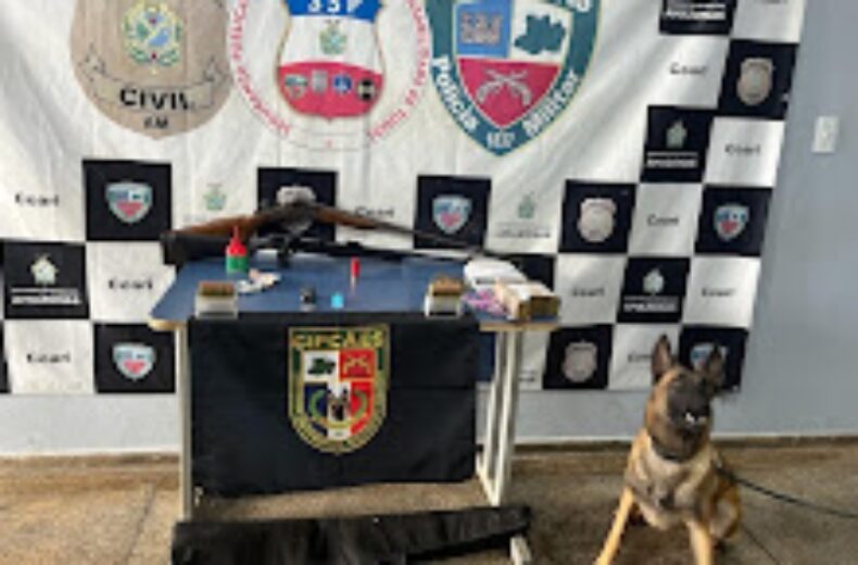 Hórus: Ações desencadeadas em Pauini, Apuí, Itacoatiara e Autazes resultam na prisão de suspeitos