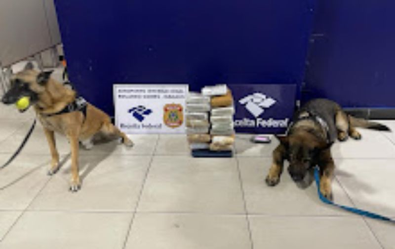 Receita Federal apreende 8,5 quilos de maconha do tipo skunk camuflada em polpa de açaí