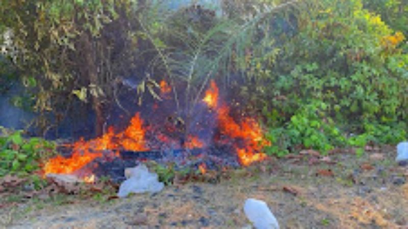 Nas últimas 24 horas, Corpo de Bombeiros/AM combate 23 incêndios em áreas de vegetação, em Manaus