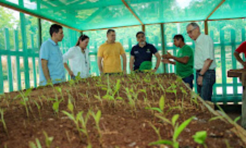 Governo do AM vai criar grupo de trabalho para fortalecer cadeia produtiva da castanha