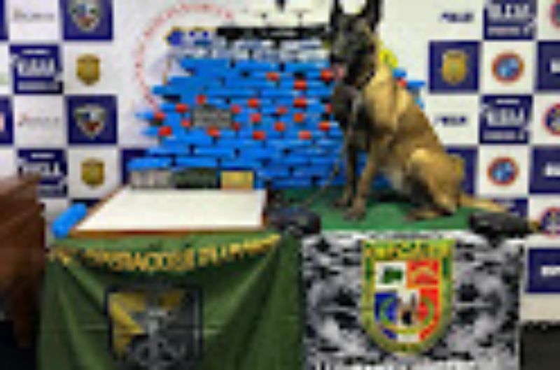 Base Arpão: Polícia apreende mais de 100 kg drogas dentro de boia no piso de embarcação, em Coari