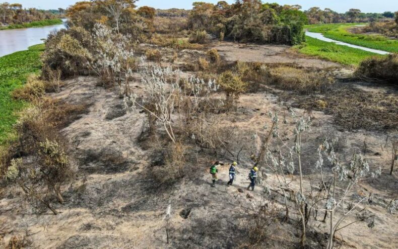 Especialistas explicam por que o Pantanal tem recorde de incêndios em plena época de chuva