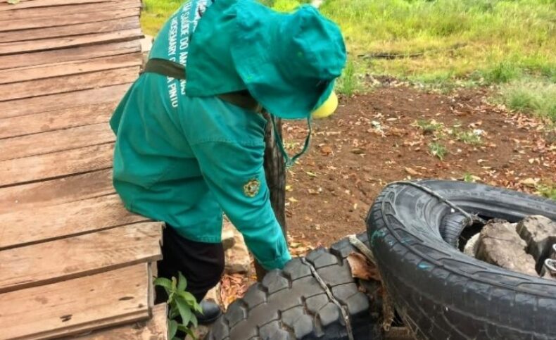 Amazonas emite nota técnica para intensificar vigilância, prevenção e controle de dengue, zika, chikungunya