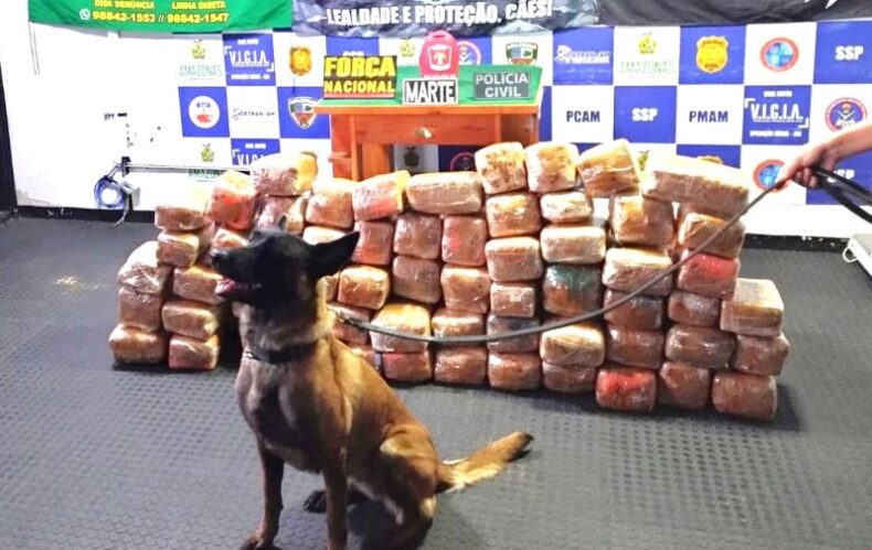 Policiais da Base Fluvial Arpão apreendem 265 quilos de maconha e uma lancha rápida, em Coari