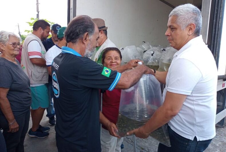 Governo do AM distribui 92 mil alevinos de tambaqui para impulsionar a piscicultura na região