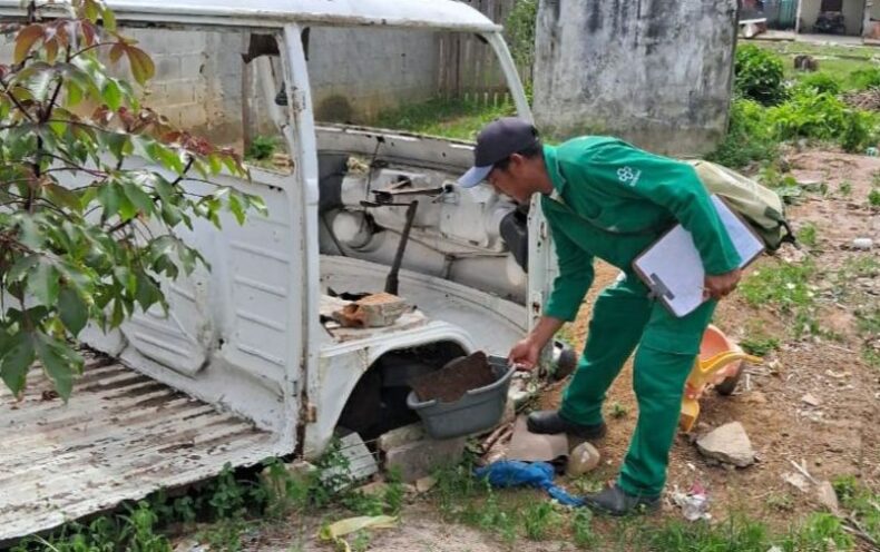 Mais de 60% dos criadouros de mosquito Aedes aegypti poderiam ter sido evitados em vistorias semanais