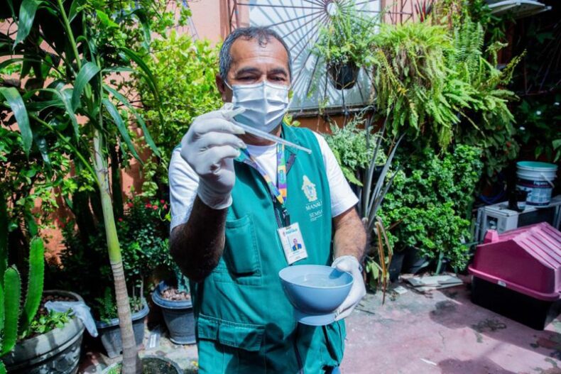 Em 7 dias, Manaus confirma 46 casos de dengue; veja o Boletim Epidemiológico de Arboviroses