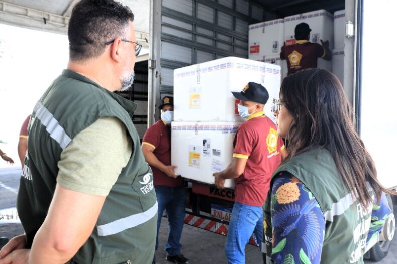 Amazonas recebe 78.760 doses de vacina contra a dengue do Ministério da Saúde, neste sábado (10/02)
