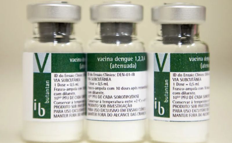 Vacina do Butantan contra dengue é eficaz e deve ser enviada à Anvisa neste ano; uso pode começar em 2025