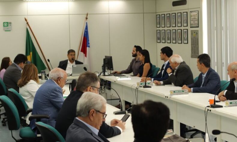 Conselho Fiscal da Sefaz apresenta relatório anual e elege dirigentes para 2024