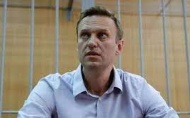 Quem foi Alexei Navalny, principal opositor de Putin que morreu na prisão