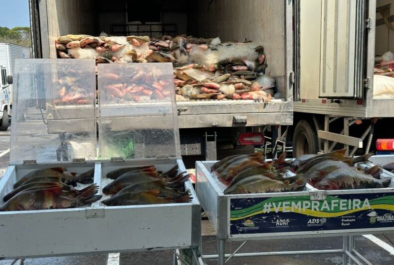Com investimento de R$ 5,5 milhões, Governo do Amazonas realiza doação de 369 toneladas de pescado em ação solidária