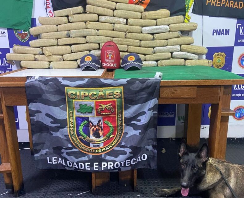 Policiais da Base Arpão I apreendem 50 quilos de skunk durante abordagem a embarcação, em Coari