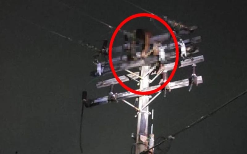 Homem morre eletrocutado e fica pendurado em poste após tentar furtar fiação no Centro de Manaus