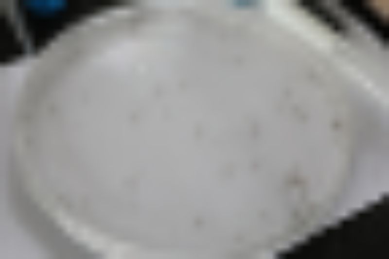 No acumulado de 2024, Manaus chega a 1.358 casos de dengue