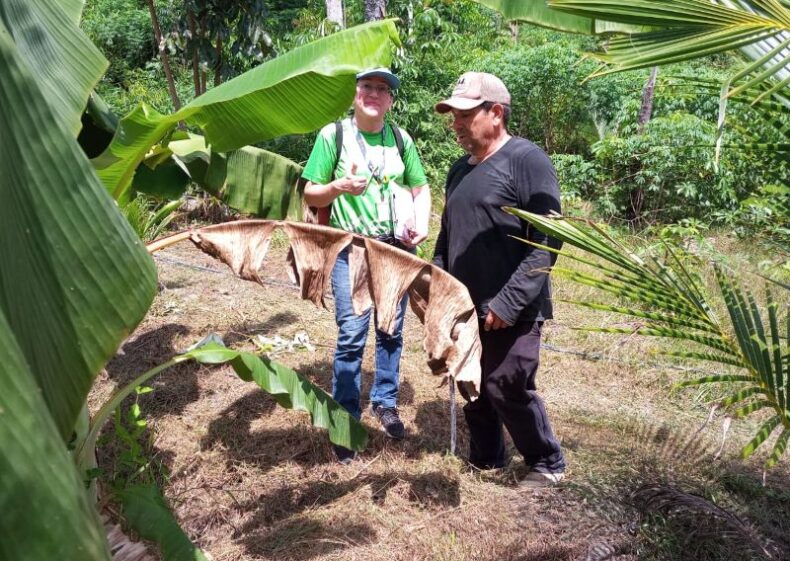 Governo do Amazonas realiza consultoria agrícola para produtores rurais participantes das feiras da ADS