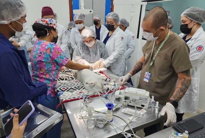 Hospital veterinário expande e inicia cirurgias de castração de pets em Manaus