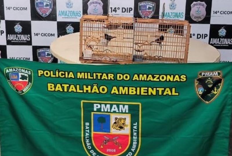 Polícia Militar do Amazonas prende dupla por crime ambiental no ramal do Brasileirinho