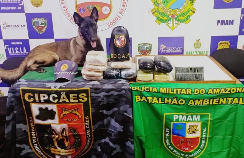Secretaria de Segurança do AM apreende drogas, armas e munições avaliadas em mais de R$ 700 mil