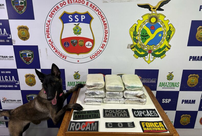 Base Arpão 1: Trio é preso com mais de 11 kg de skunk em embarcação