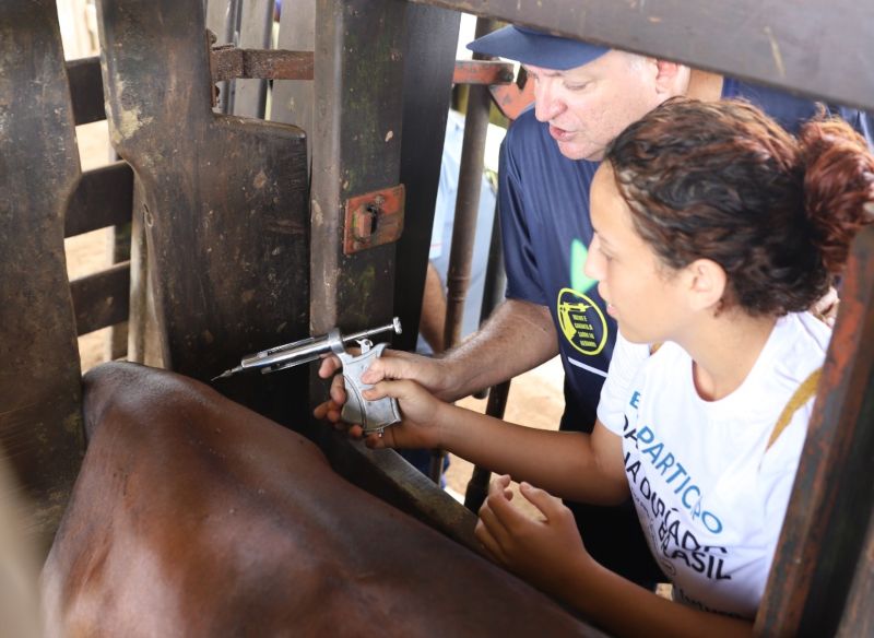 Adaf inicia campanha de vacinação contra aftosa em oito municípios