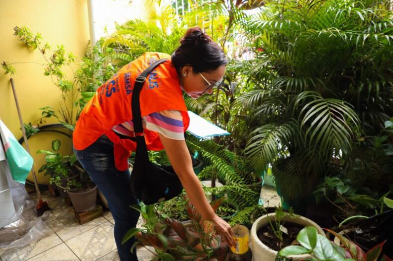 SAÚDE: Informe epidemiológico da Prefeitura de Manaus atualiza cenário de casos de arboviroses