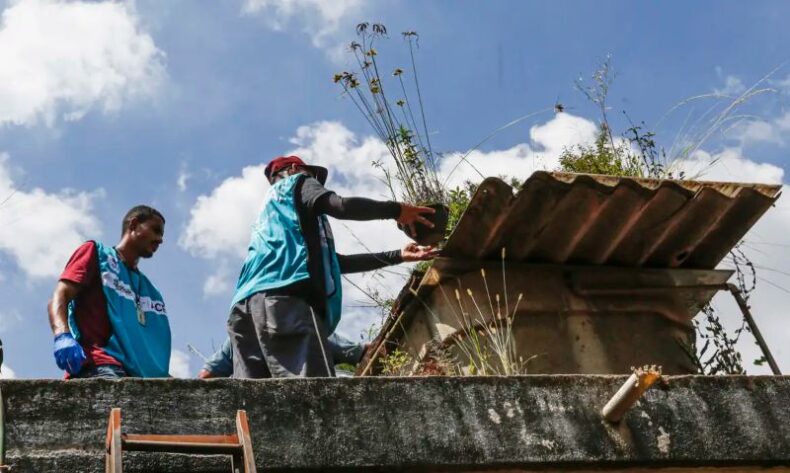 Sete estados e o DF têm tendência de queda nos casos de dengue