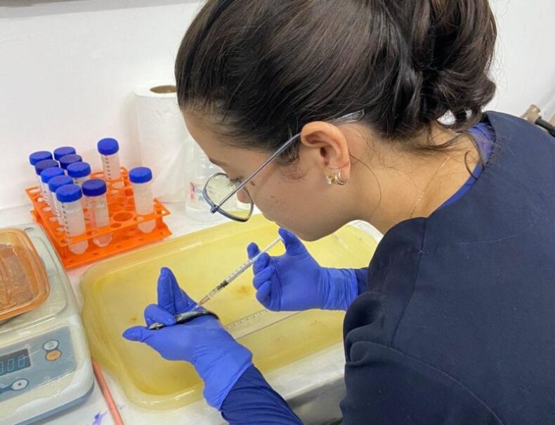 Tambaquis e matrinxãs: pesquisas do AM no exterior prometem revolucionar aquicultura local