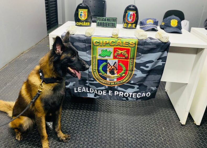 Polícia Militar do AM apreende maconha camuflada em meio à goma e farinha de mandioca