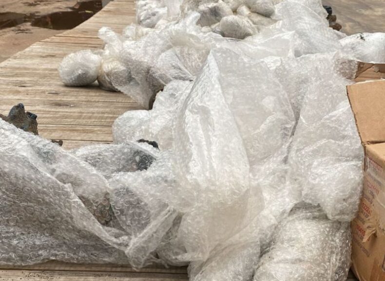 Quase uma tonelada de pedra do mineral vivianita é apreendida em embarcação no Rio Negro