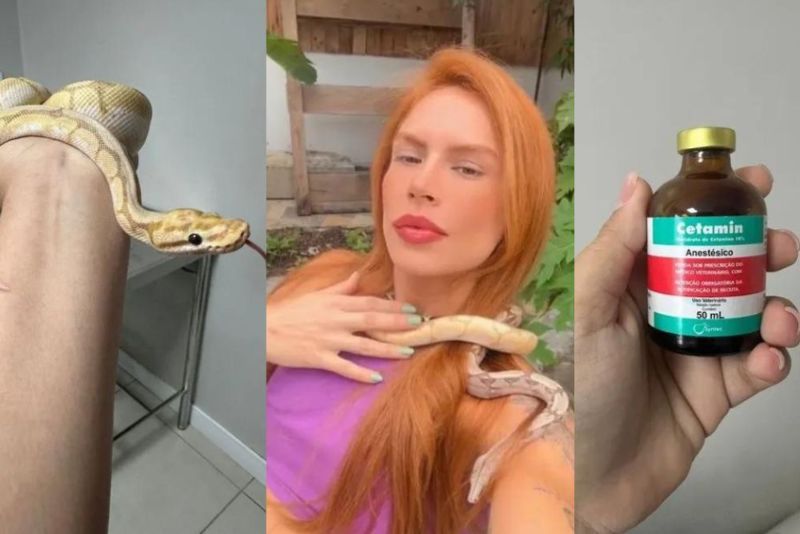 Polícia vai investigar denúncias de maus tratos a cobras e cães de Djidja Cardoso